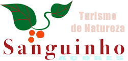 Sanguinho