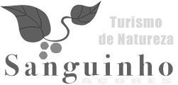 Sanguinho